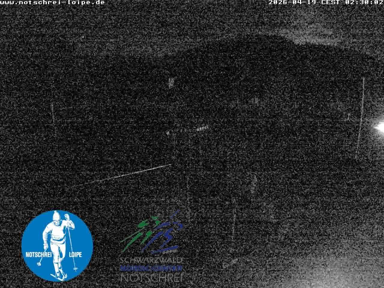 Archiv Foto Webcam Loipenzentrum Notschrei, Schwarzwald