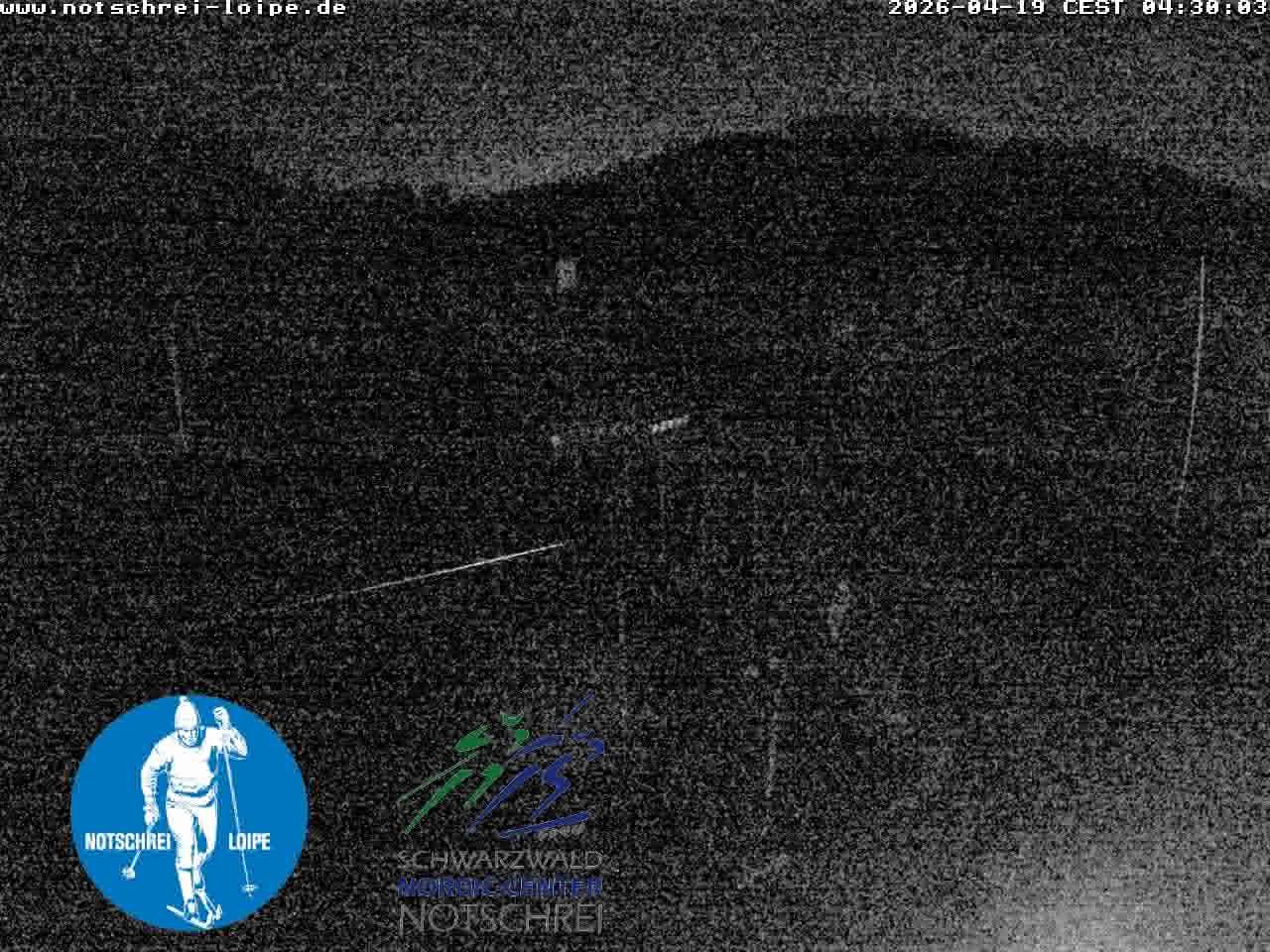 Archiv Foto Webcam Loipenzentrum Notschrei, Schwarzwald
