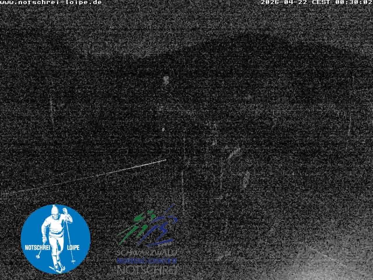 Archiv Foto Webcam Loipenzentrum Notschrei, Schwarzwald