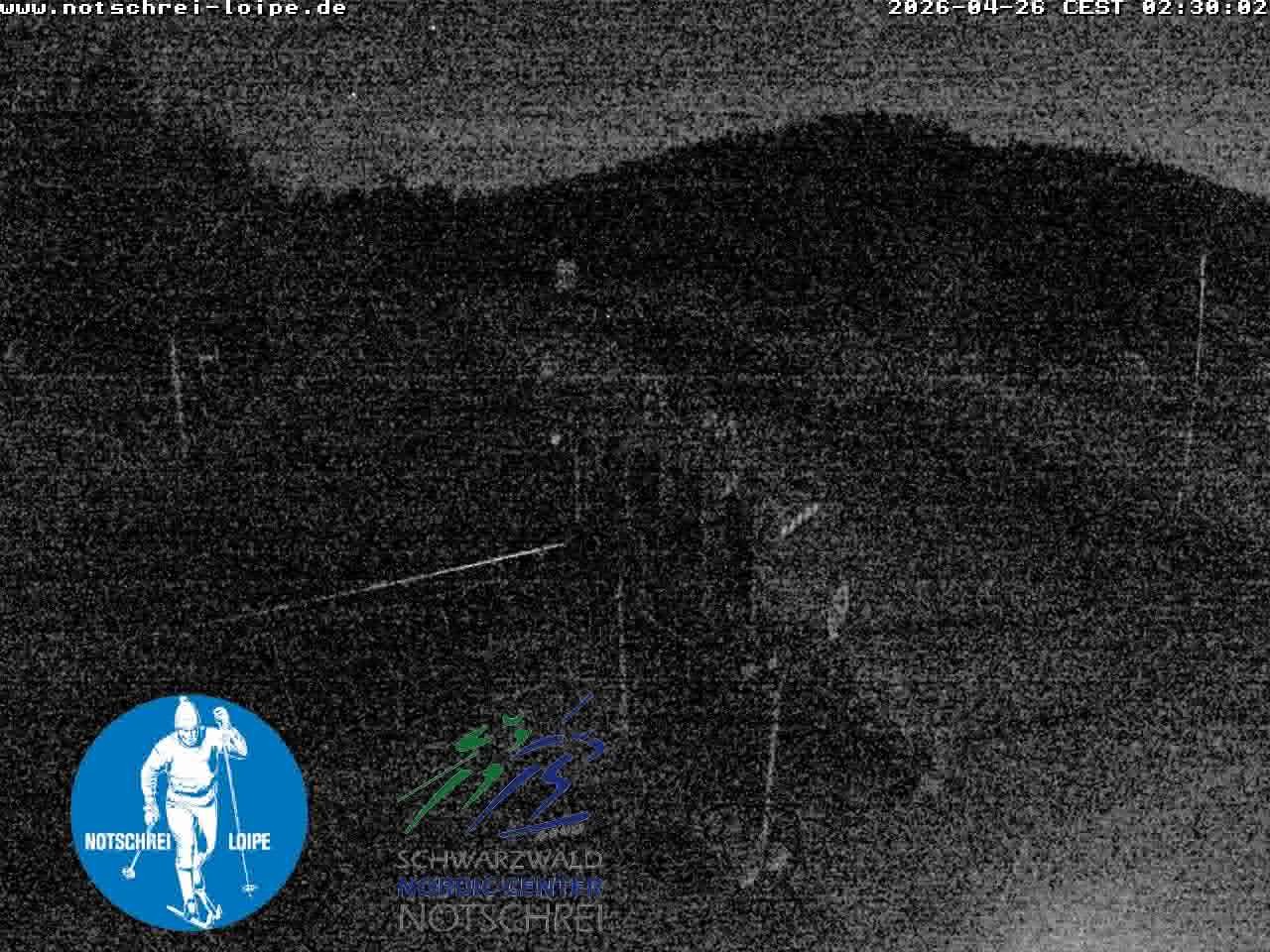 Archived image Webcam Cross Country Skiing Center Notschrei, Black Forest