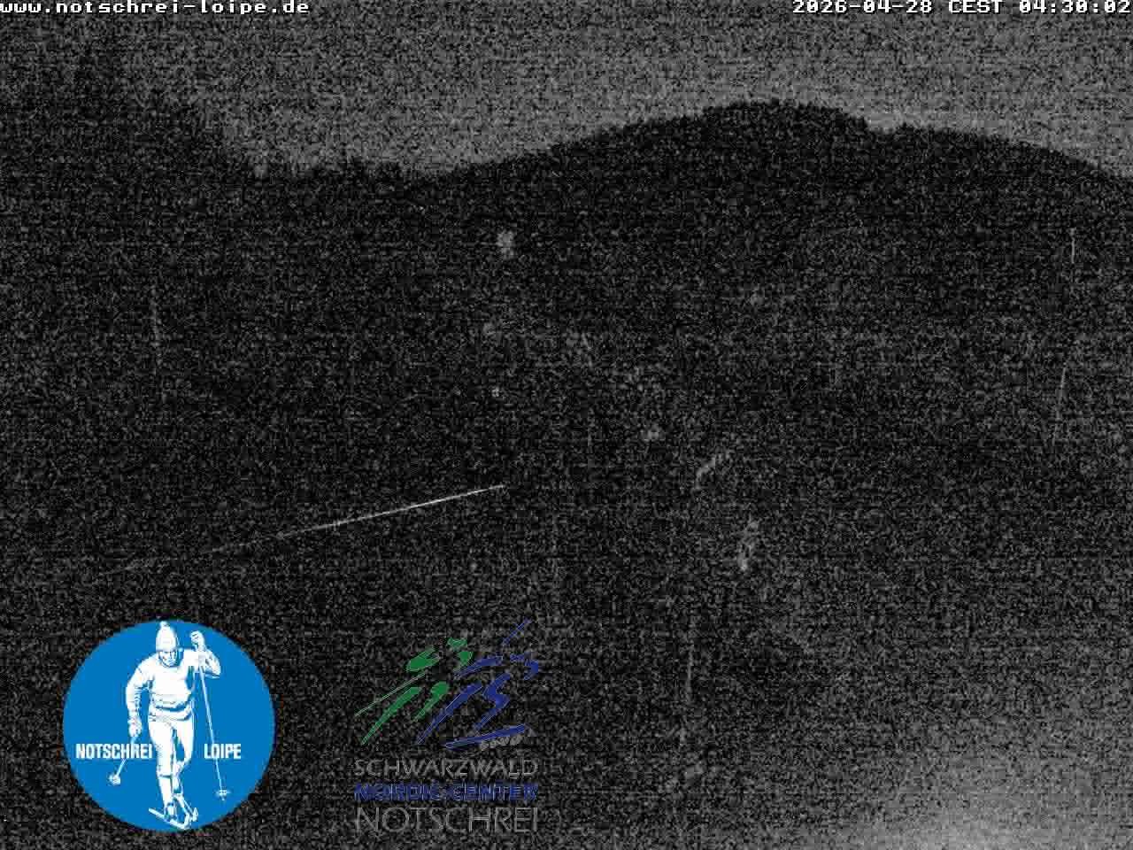 Archiv Foto Webcam Loipenzentrum Notschrei, Schwarzwald