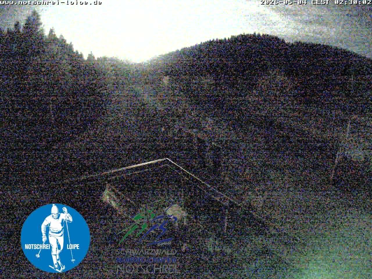 Archiv Foto Webcam Loipenzentrum Notschrei, Schwarzwald