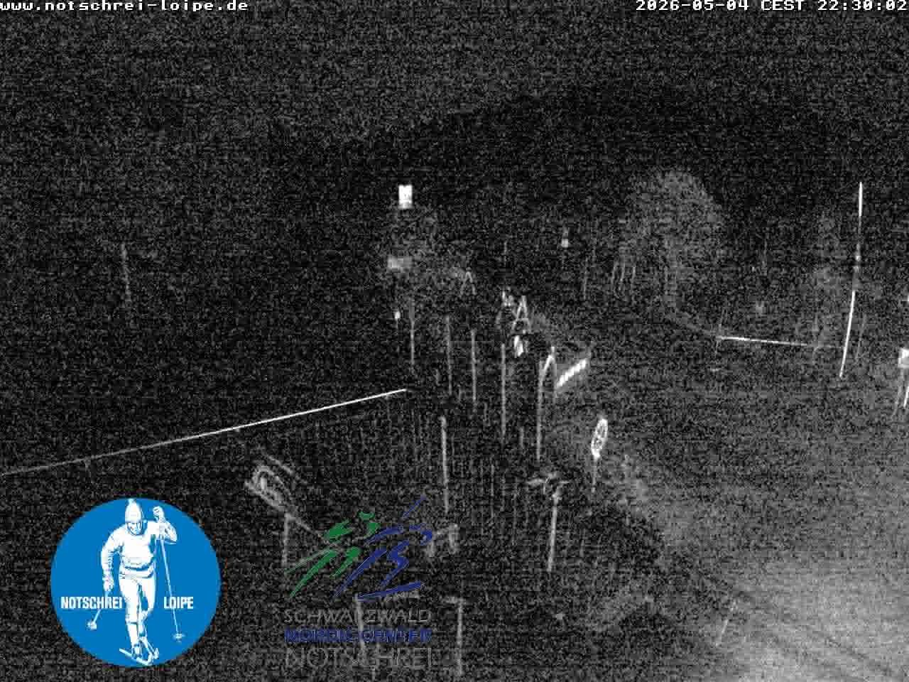 Archived image Webcam Cross Country Skiing Center Notschrei, Black Forest