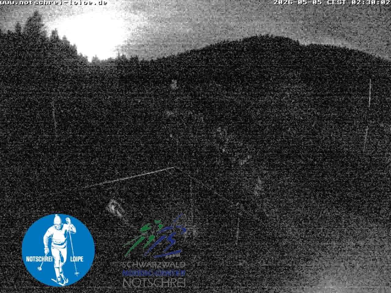 Archiv Foto Webcam Loipenzentrum Notschrei, Schwarzwald