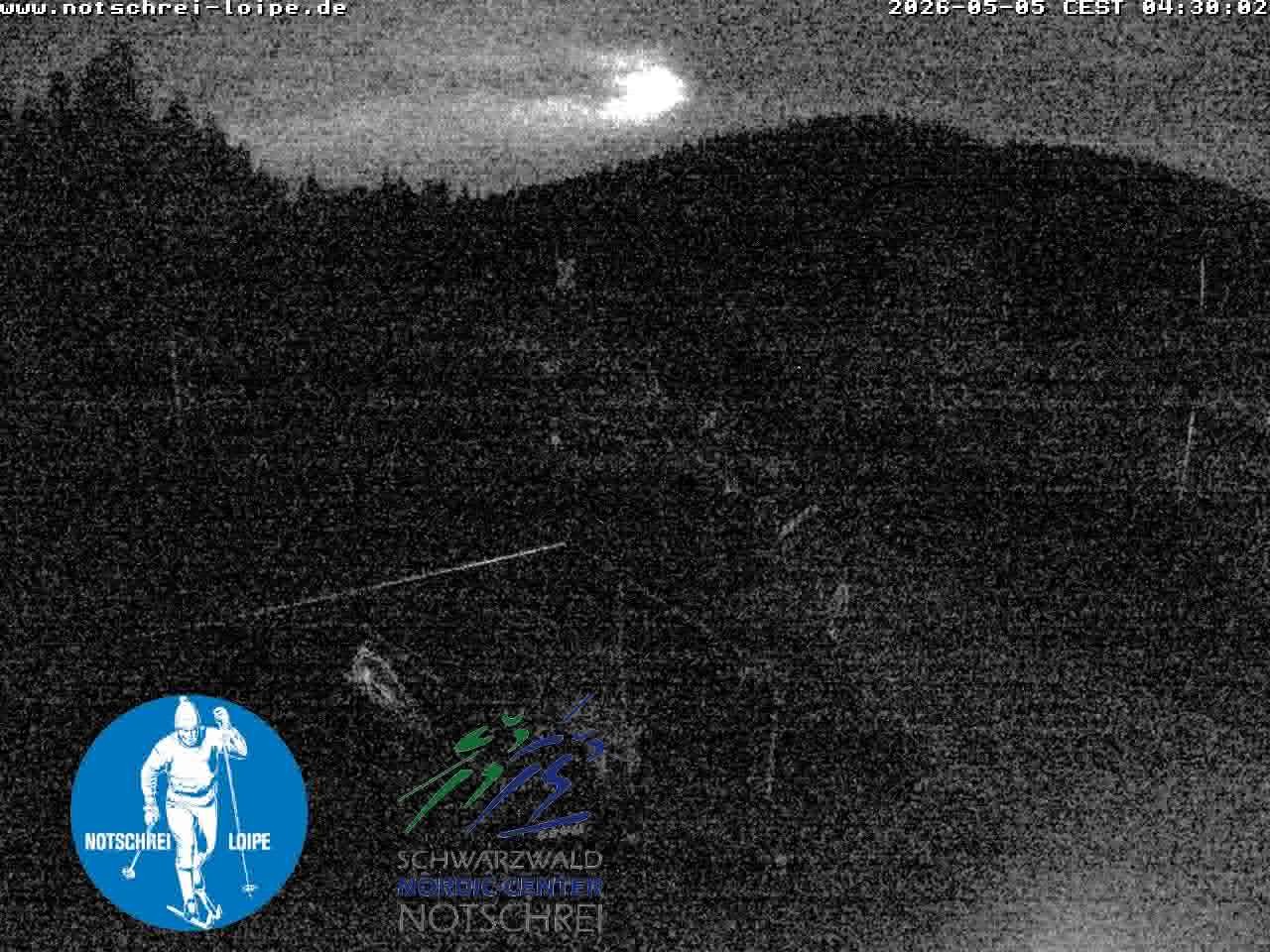 Archiv Foto Webcam Loipenzentrum Notschrei, Schwarzwald