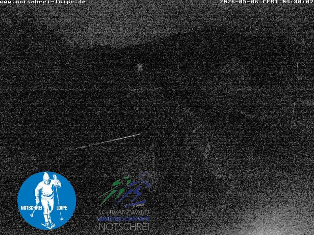 Archived image Webcam Cross Country Skiing Center Notschrei, Black Forest