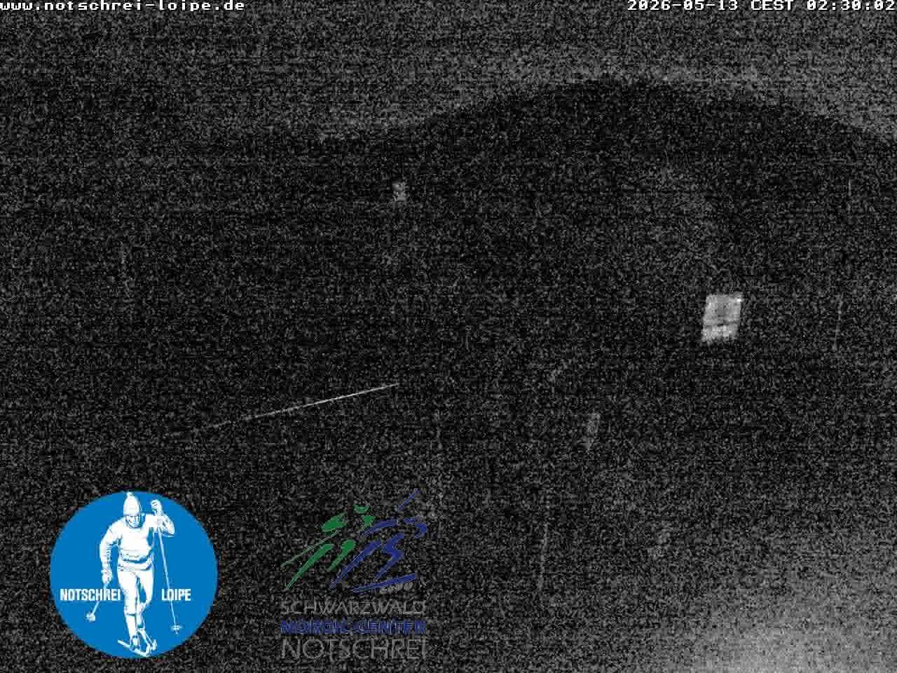 Archiv Foto Webcam Loipenzentrum Notschrei, Schwarzwald