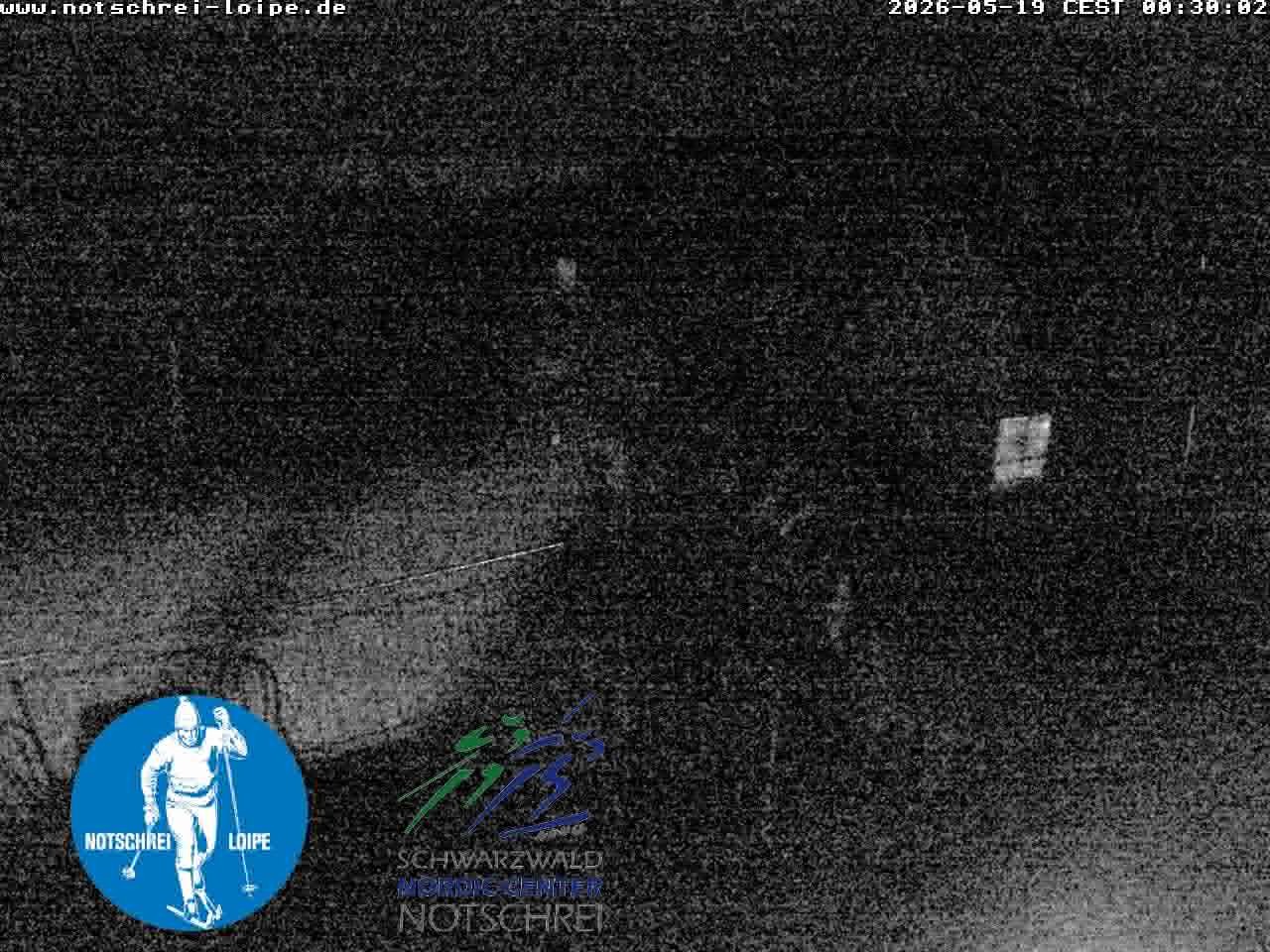 Archiv Foto Webcam Loipenzentrum Notschrei, Schwarzwald