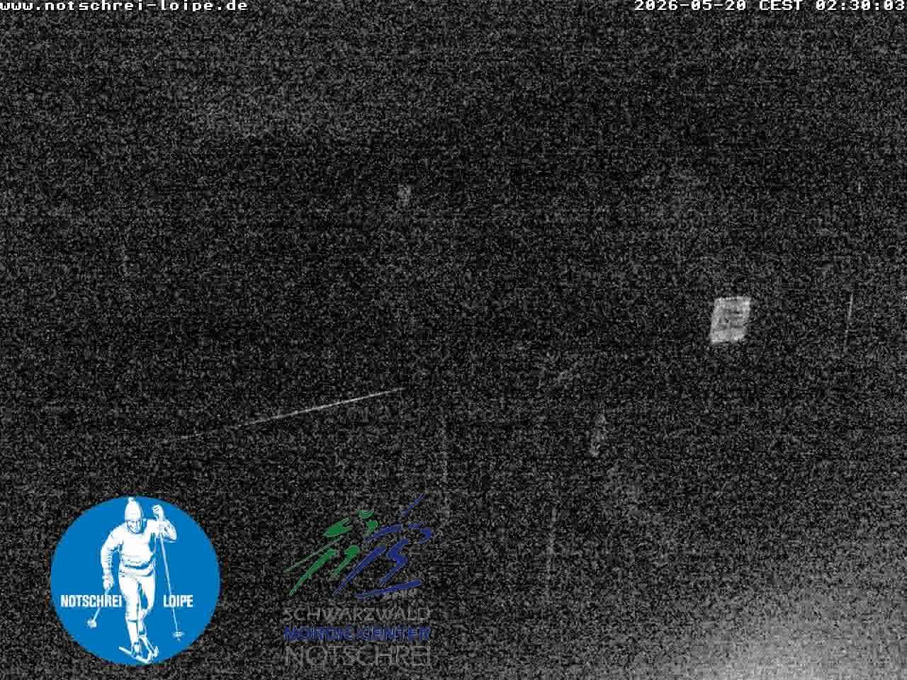 Archiv Foto Webcam Loipenzentrum Notschrei, Schwarzwald