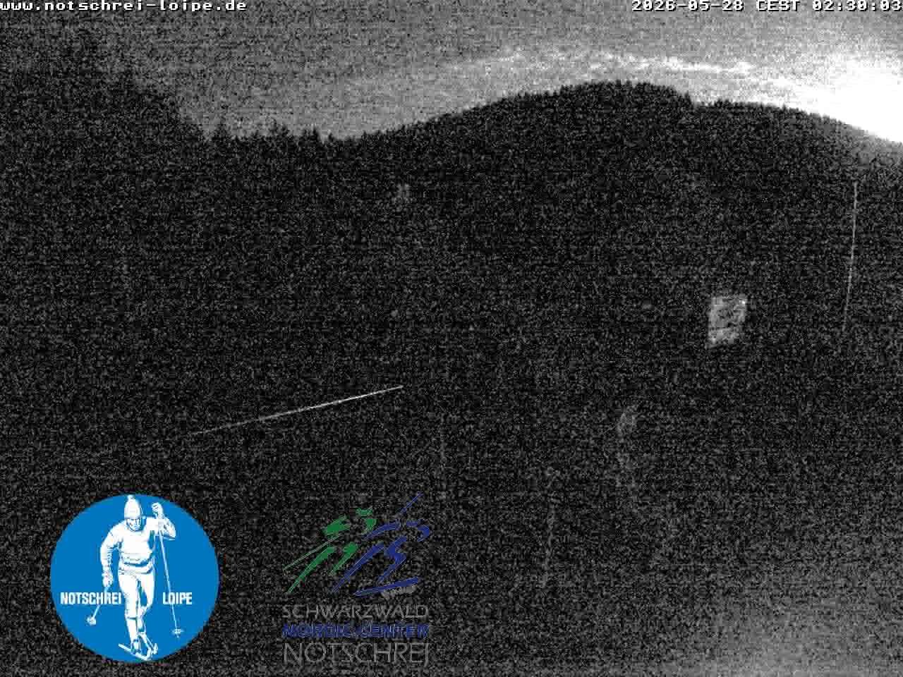 Archiv Foto Webcam Loipenzentrum Notschrei, Schwarzwald