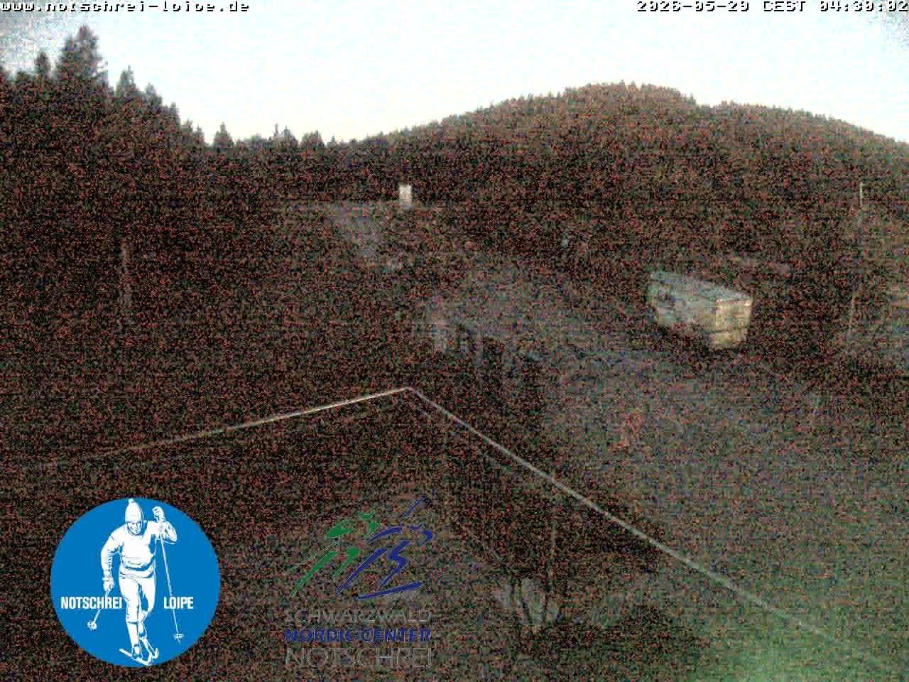 Archiv Foto Webcam Loipenzentrum Notschrei, Schwarzwald
