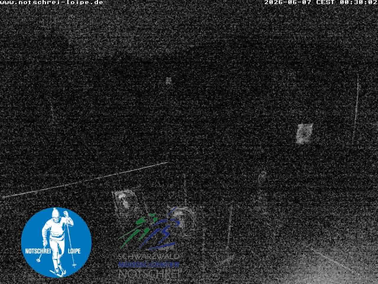 Archived image Webcam Cross Country Skiing Center Notschrei, Black Forest