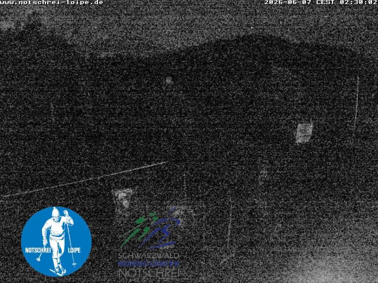 Archived image Webcam Cross Country Skiing Center Notschrei, Black Forest