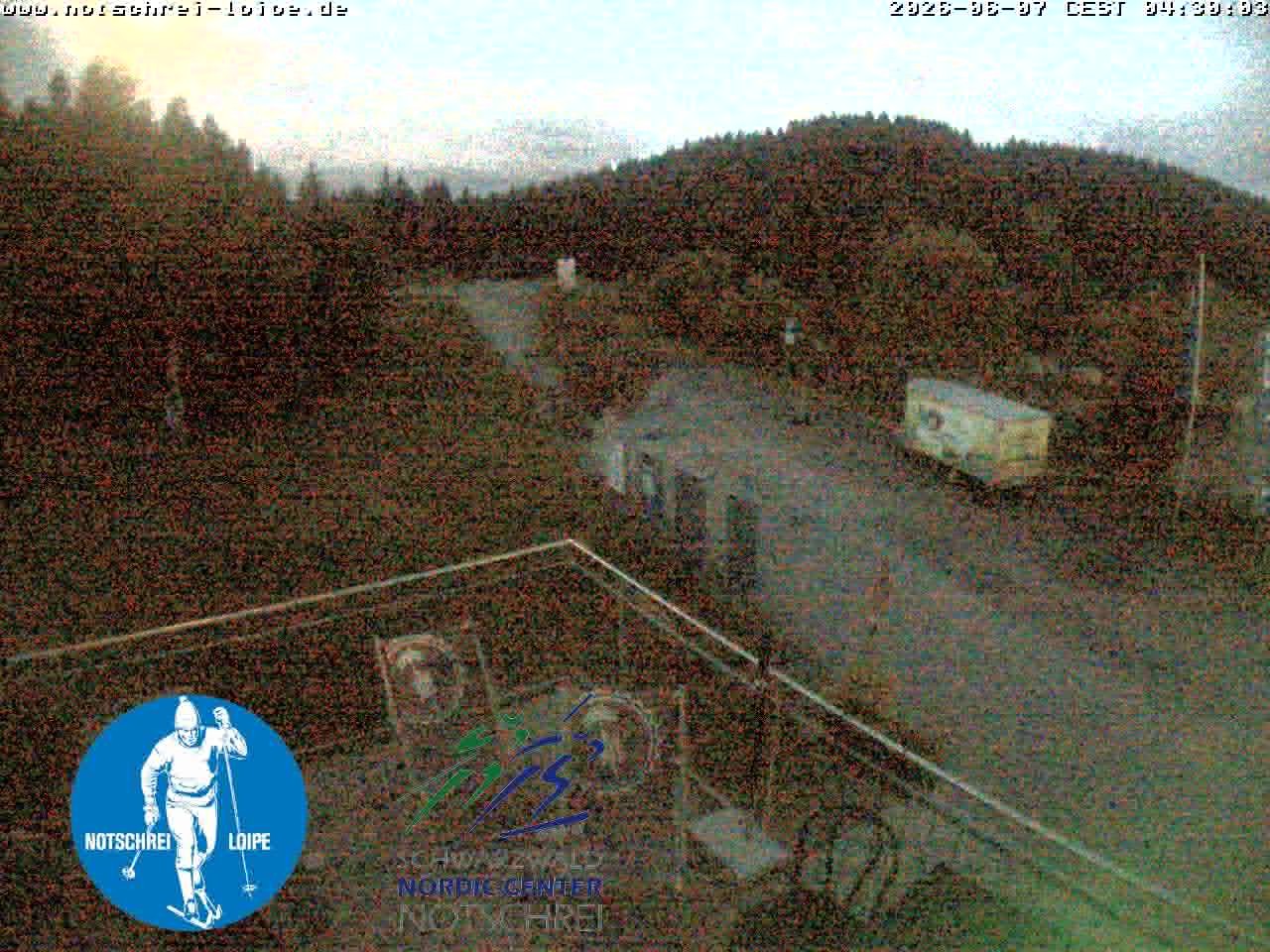 Archived image Webcam Cross Country Skiing Center Notschrei, Black Forest