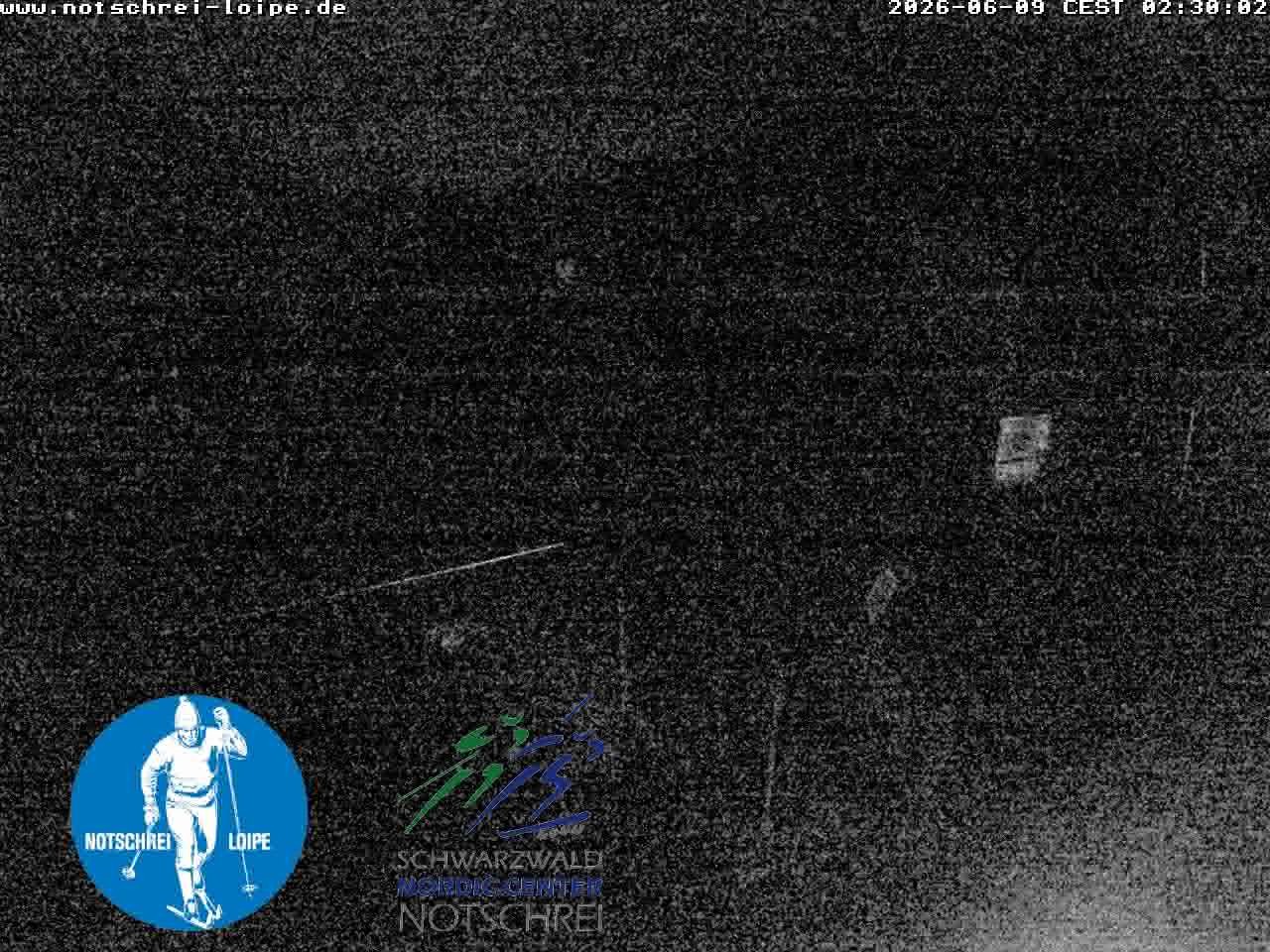 Archived image Webcam Cross Country Skiing Center Notschrei, Black Forest