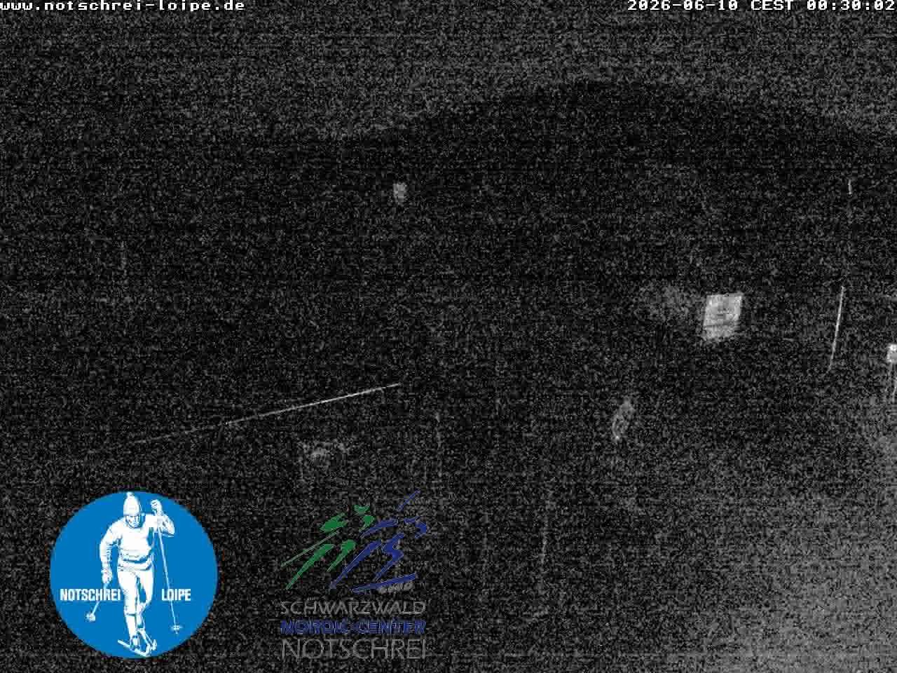 Archived image Webcam Cross Country Skiing Center Notschrei, Black Forest