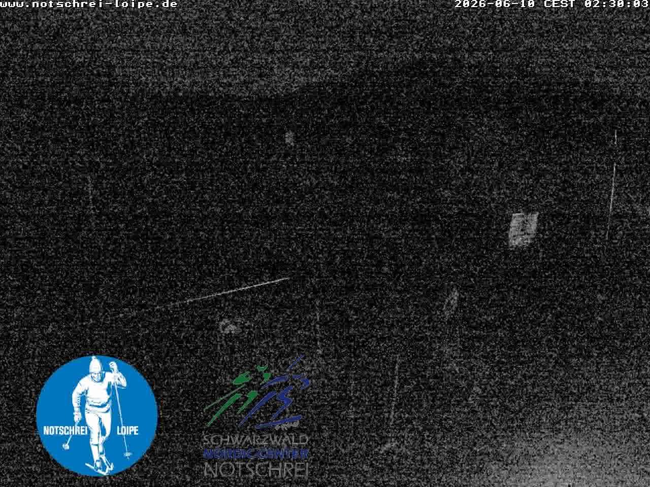 Archived image Webcam Cross Country Skiing Center Notschrei, Black Forest