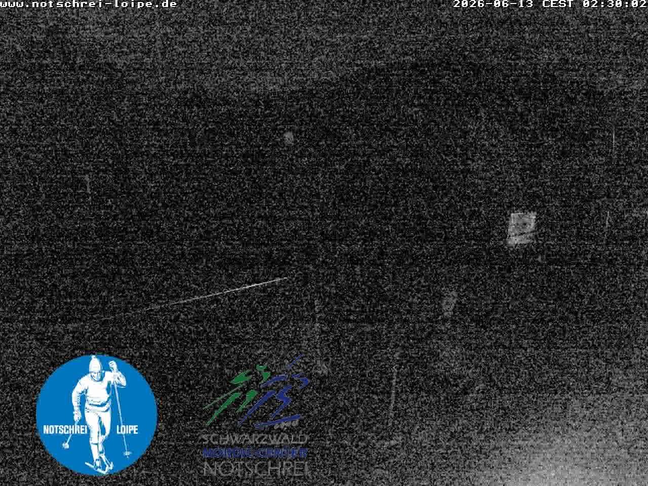 Archived image Webcam Cross Country Skiing Center Notschrei, Black Forest