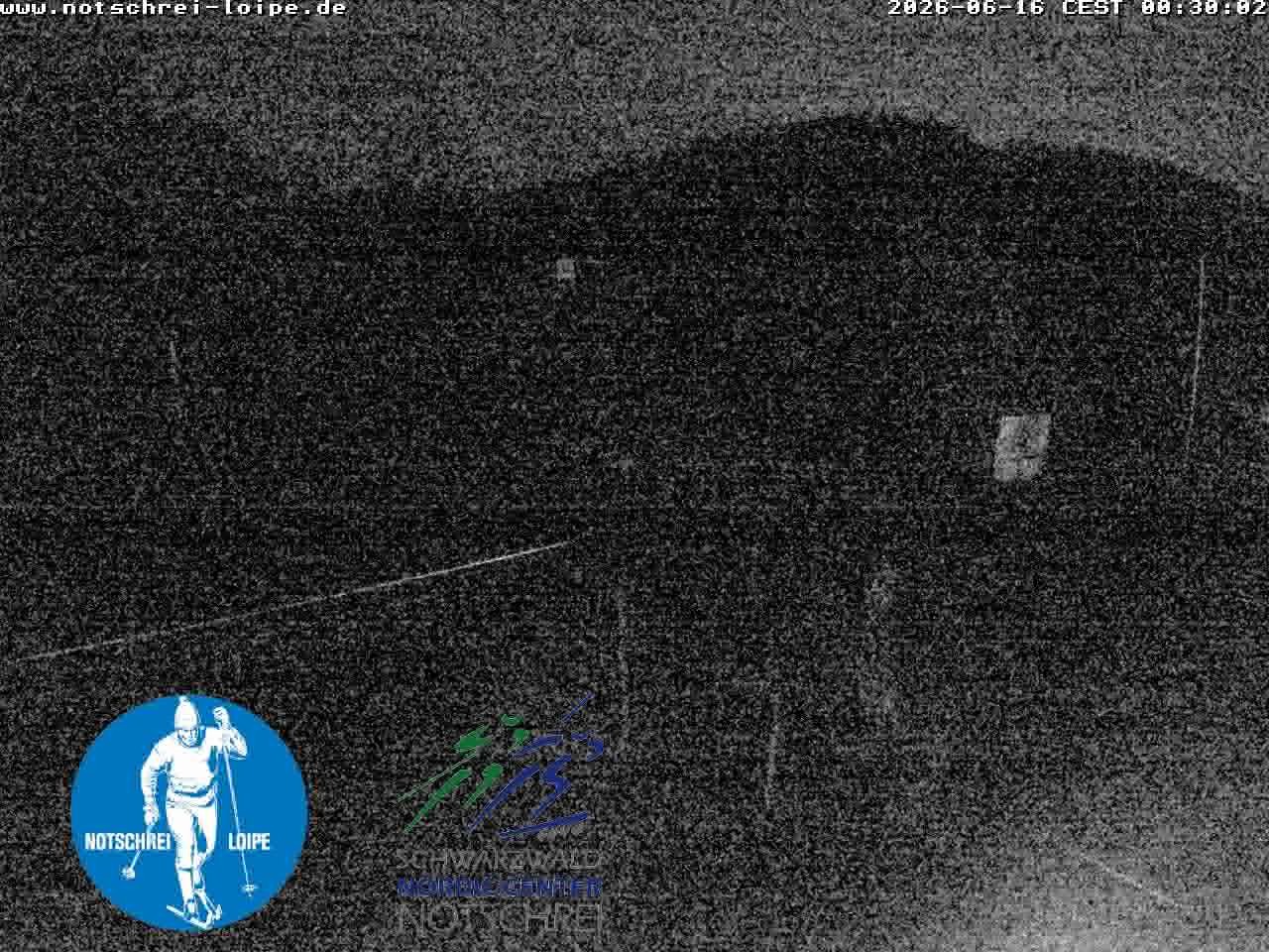 Archived image Webcam Cross Country Skiing Center Notschrei, Black Forest