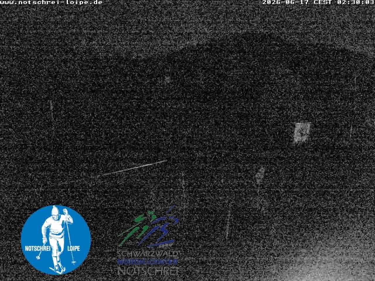 Archiv Foto Webcam Loipenzentrum Notschrei, Schwarzwald