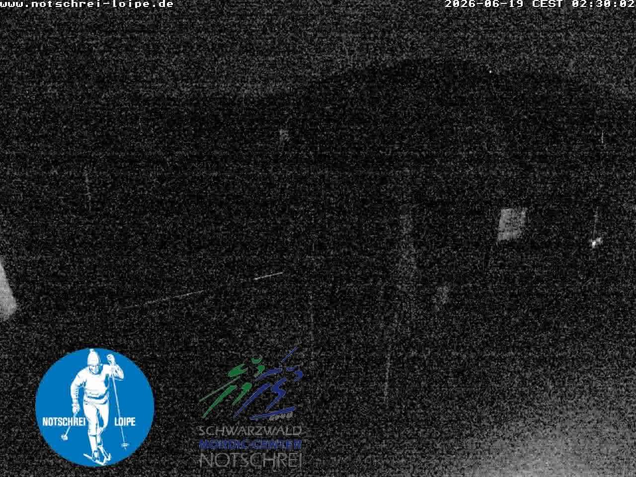 Archived image Webcam Cross Country Skiing Center Notschrei, Black Forest