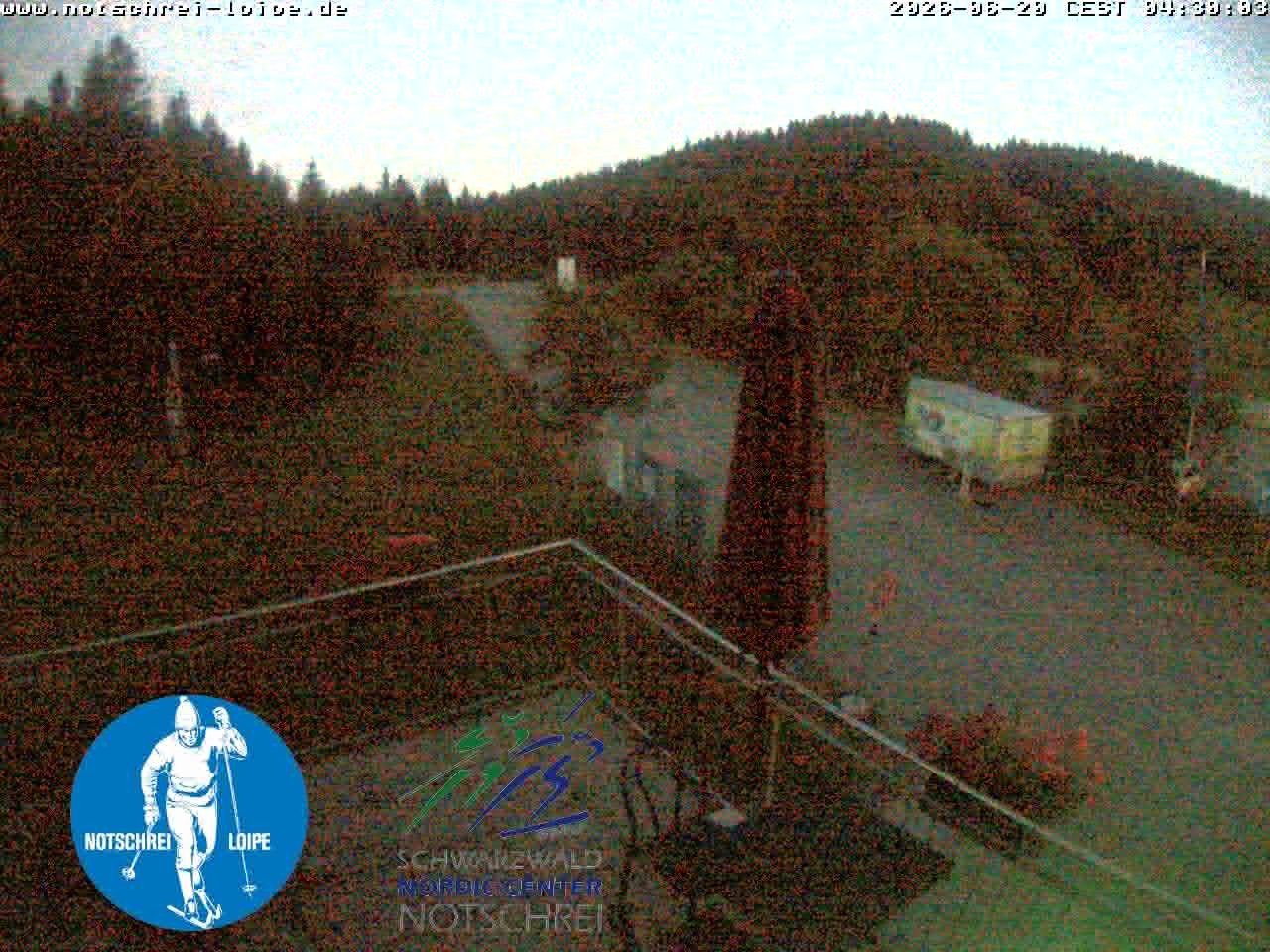 Archiv Foto Webcam Loipenzentrum Notschrei, Schwarzwald