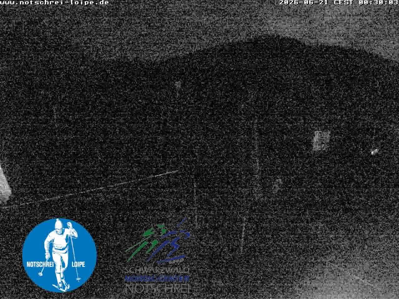 Archived image Webcam Cross Country Skiing Center Notschrei, Black Forest
