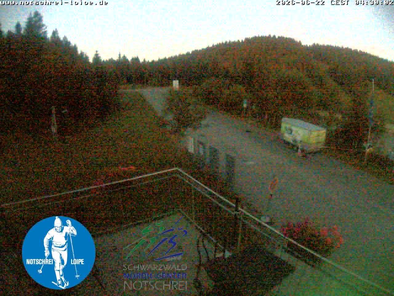 Archiv Foto Webcam Loipenzentrum Notschrei, Schwarzwald
