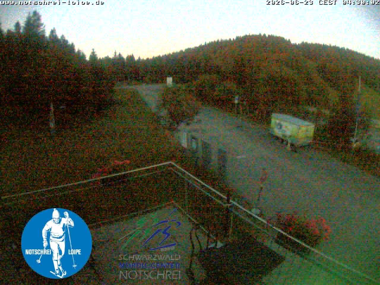 Archiv Foto Webcam Loipenzentrum Notschrei, Schwarzwald