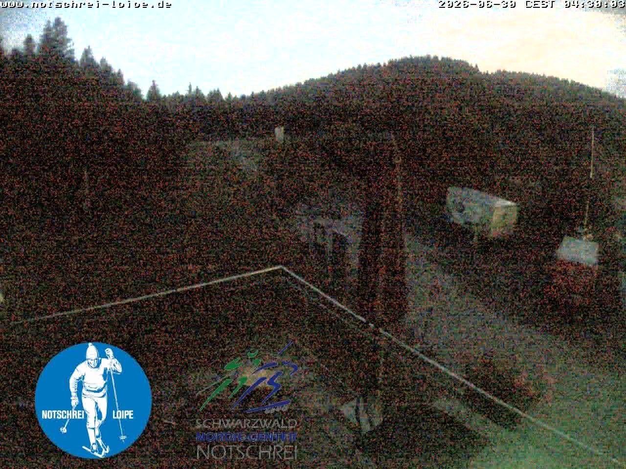 Archiv Foto Webcam Loipenzentrum Notschrei, Schwarzwald