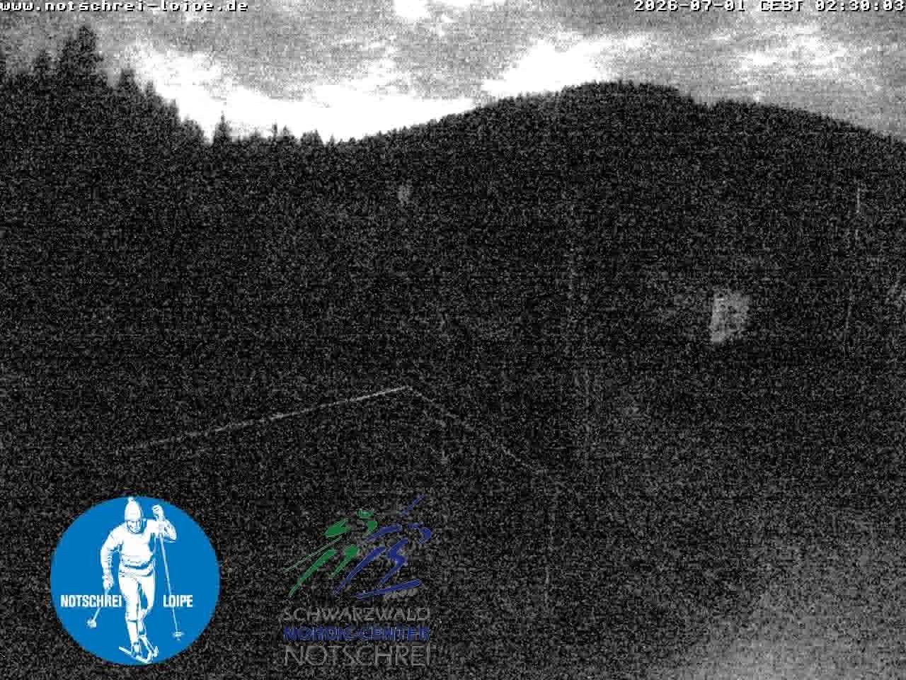 Archiv Foto Webcam Loipenzentrum Notschrei, Schwarzwald