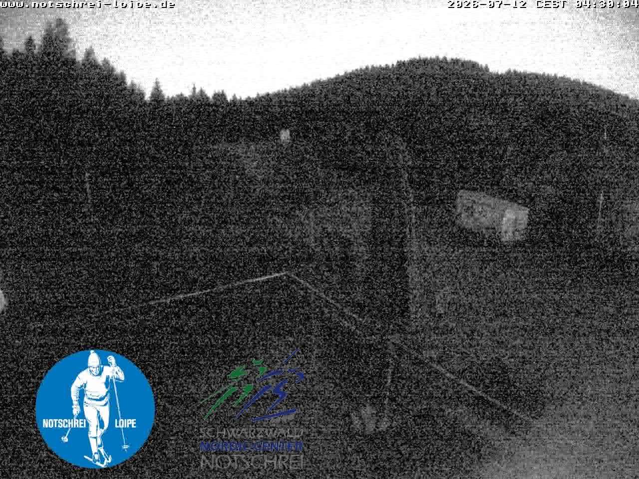 Archived image Webcam Cross Country Skiing Center Notschrei, Black Forest