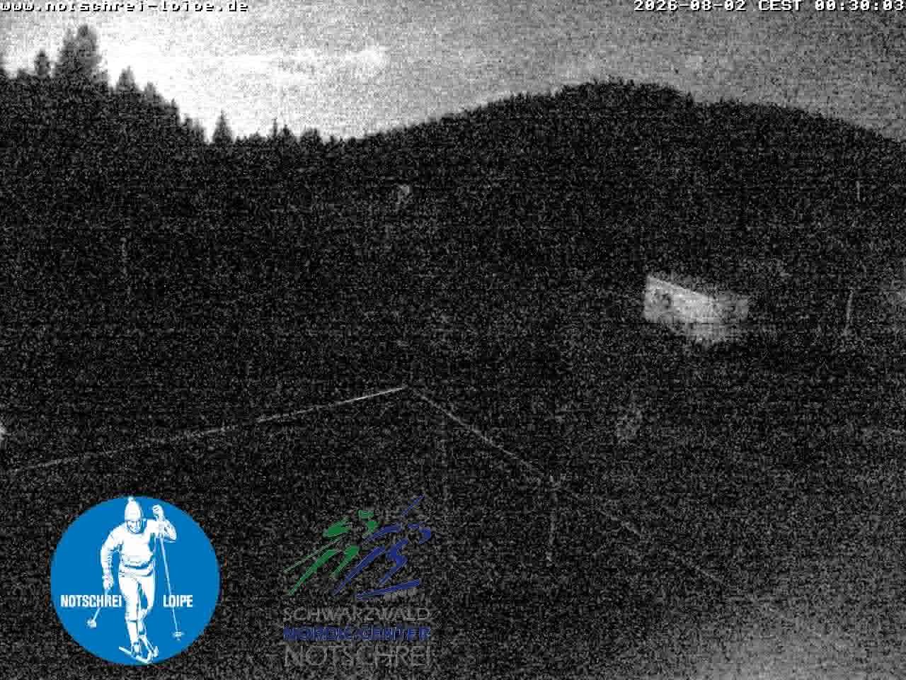 Archiv Foto Webcam Loipenzentrum Notschrei, Schwarzwald