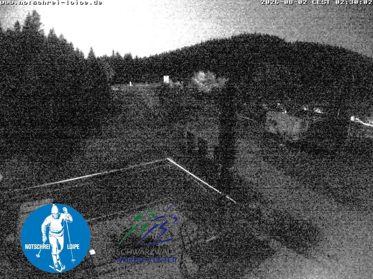Archiv Foto Webcam Loipenzentrum Notschrei, Schwarzwald