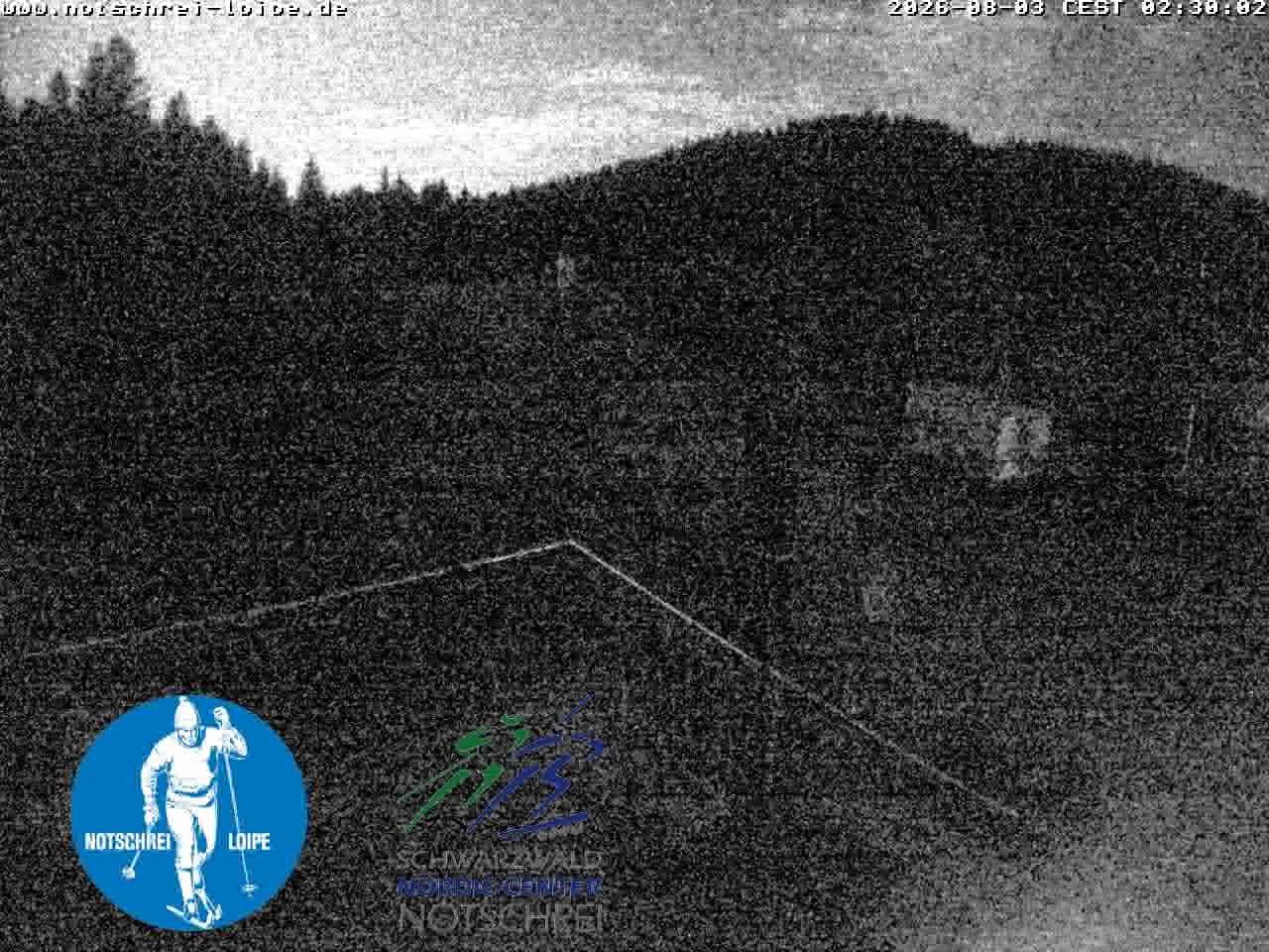 Archiv Foto Webcam Loipenzentrum Notschrei, Schwarzwald