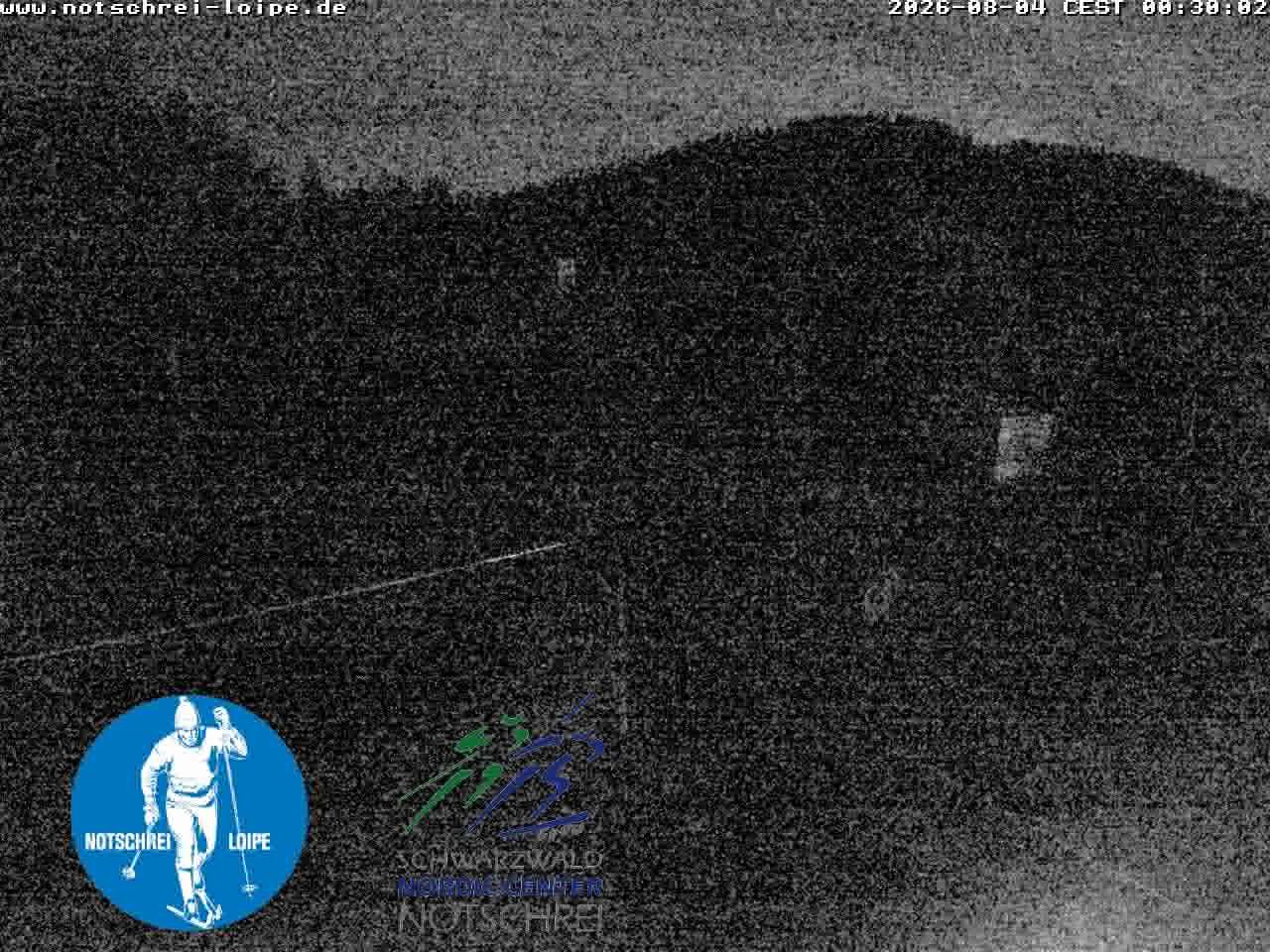 Archiv Foto Webcam Loipenzentrum Notschrei, Schwarzwald