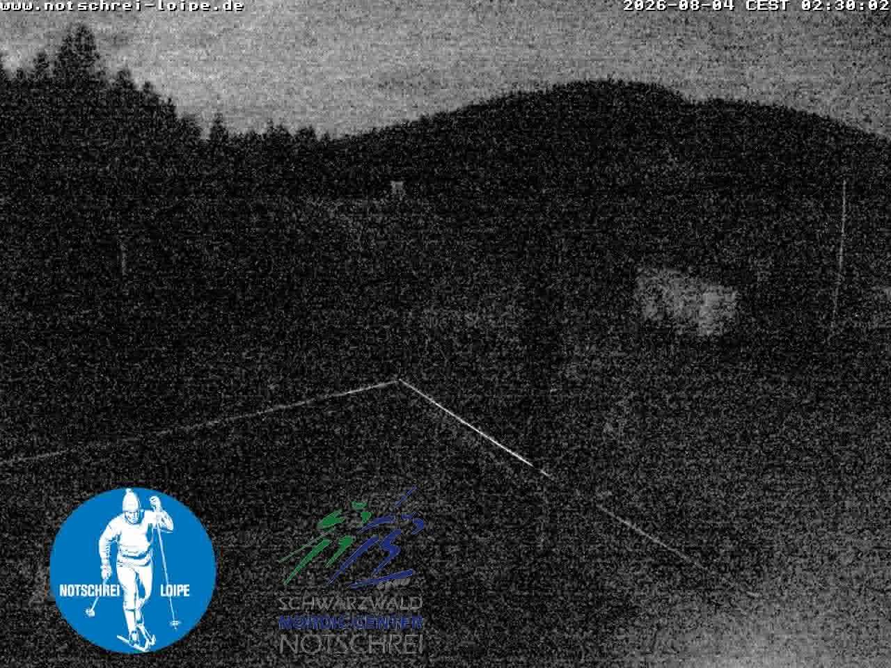 Archiv Foto Webcam Loipenzentrum Notschrei, Schwarzwald