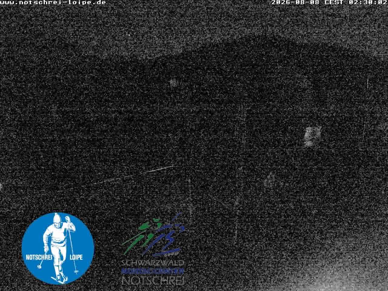 Archived image Webcam Cross Country Skiing Center Notschrei, Black Forest