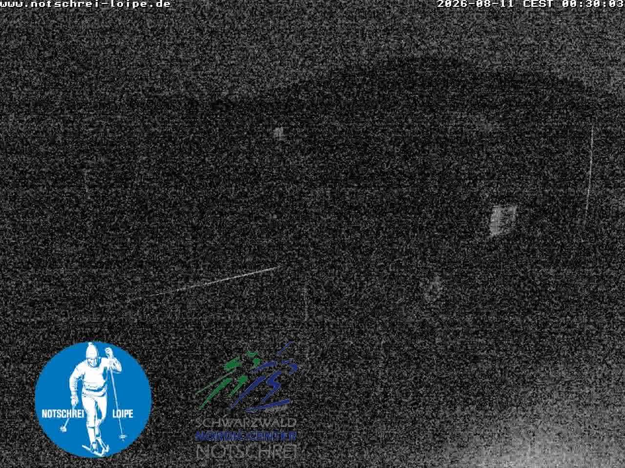 Archiv Foto Webcam Loipenzentrum Notschrei, Schwarzwald