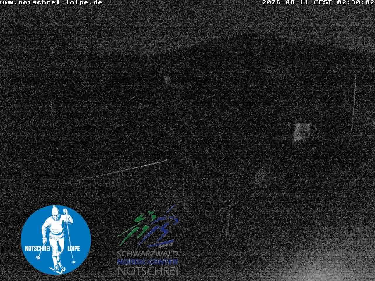 Archiv Foto Webcam Loipenzentrum Notschrei, Schwarzwald