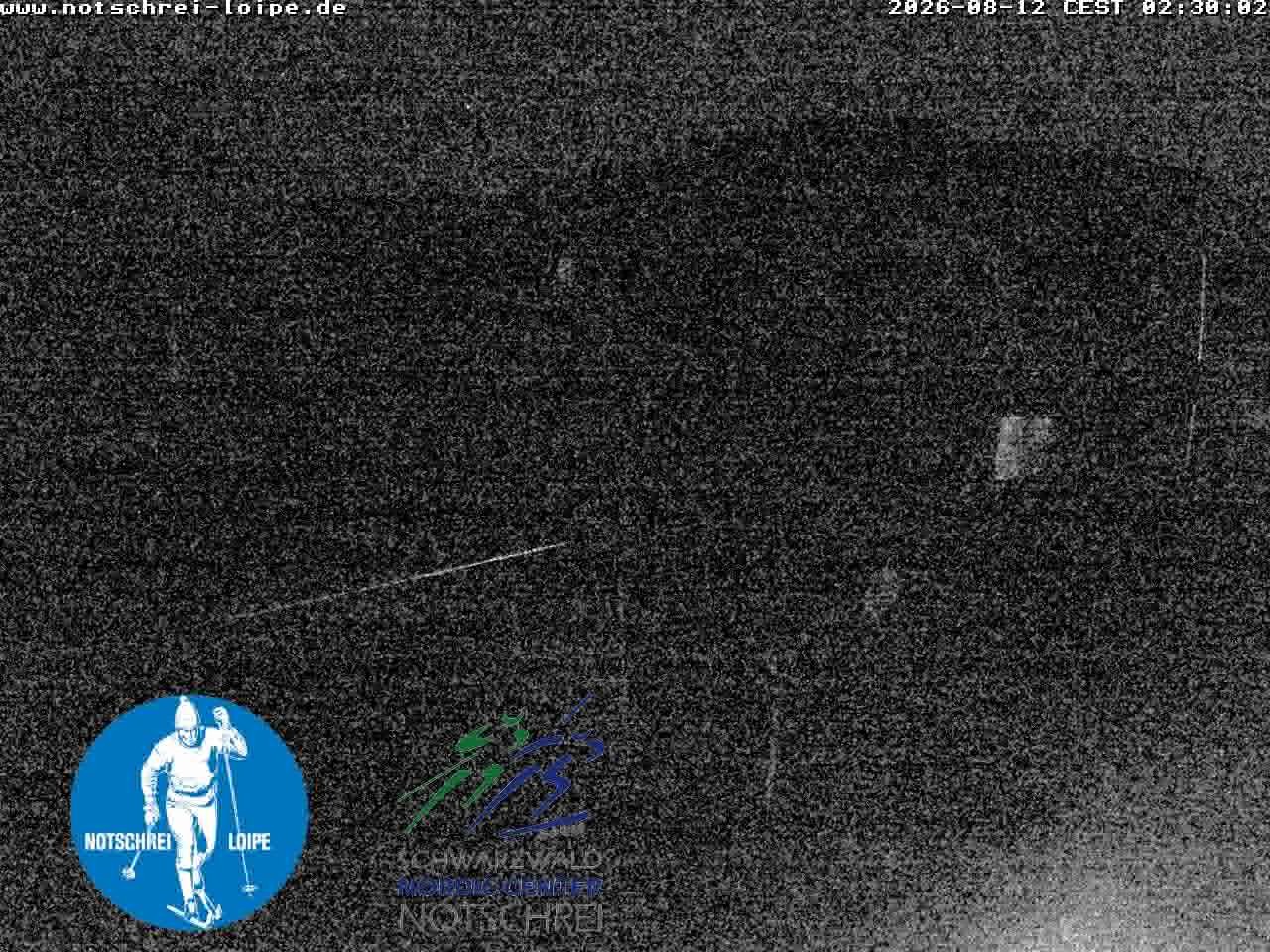 Archiv Foto Webcam Loipenzentrum Notschrei, Schwarzwald