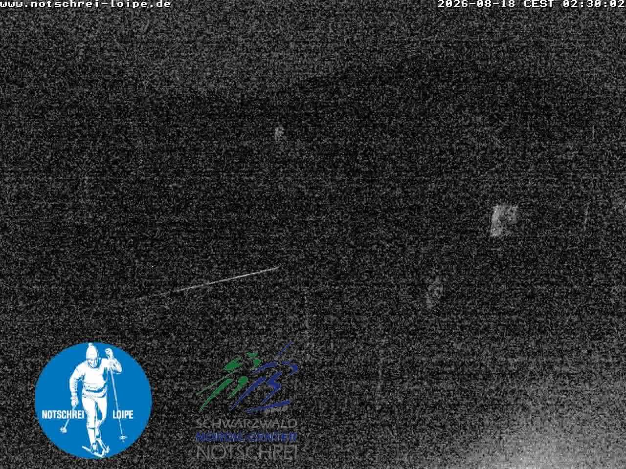 Archiv Foto Webcam Loipenzentrum Notschrei, Schwarzwald