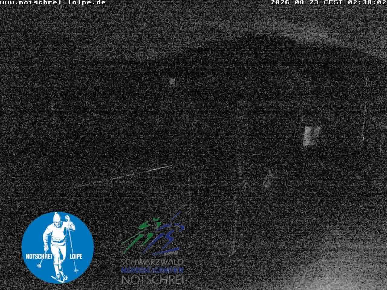 Archiv Foto Webcam Loipenzentrum Notschrei, Schwarzwald