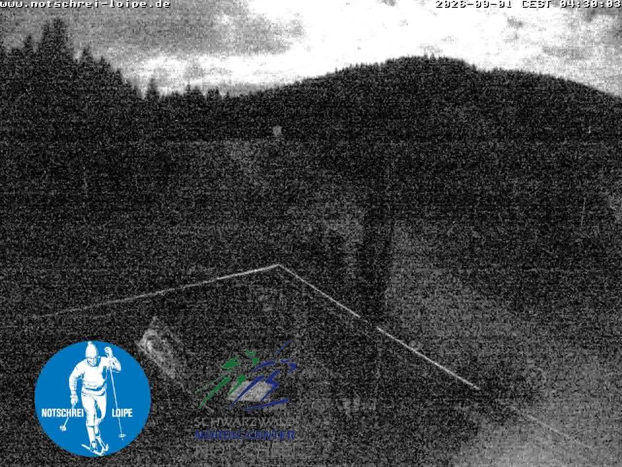 Archiv Foto Webcam Loipenzentrum Notschrei, Schwarzwald