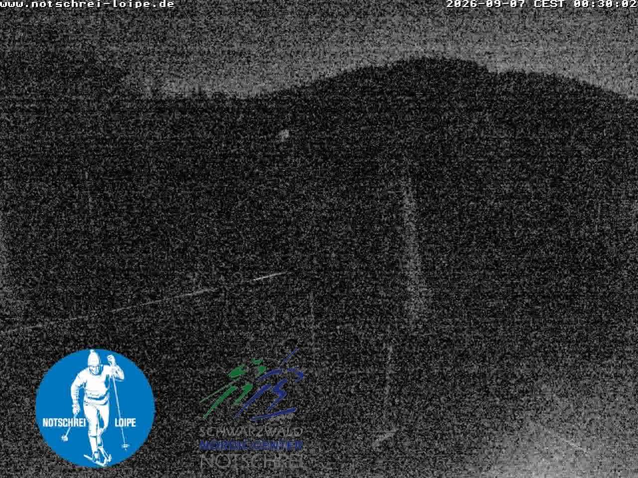 Archiv Foto Webcam Loipenzentrum Notschrei, Schwarzwald