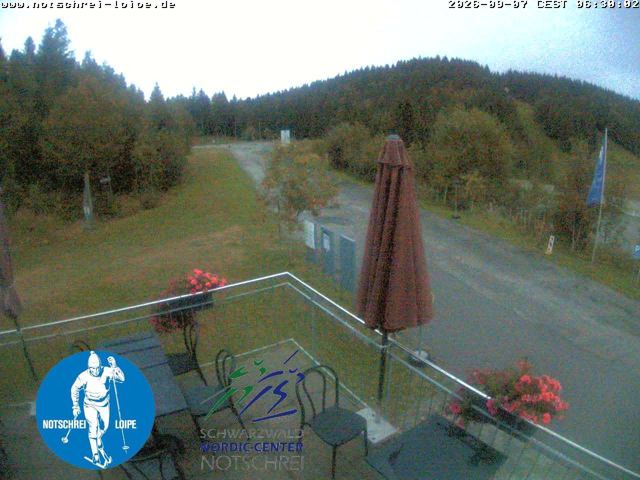 Archiv Foto Webcam Loipenzentrum Notschrei, Schwarzwald