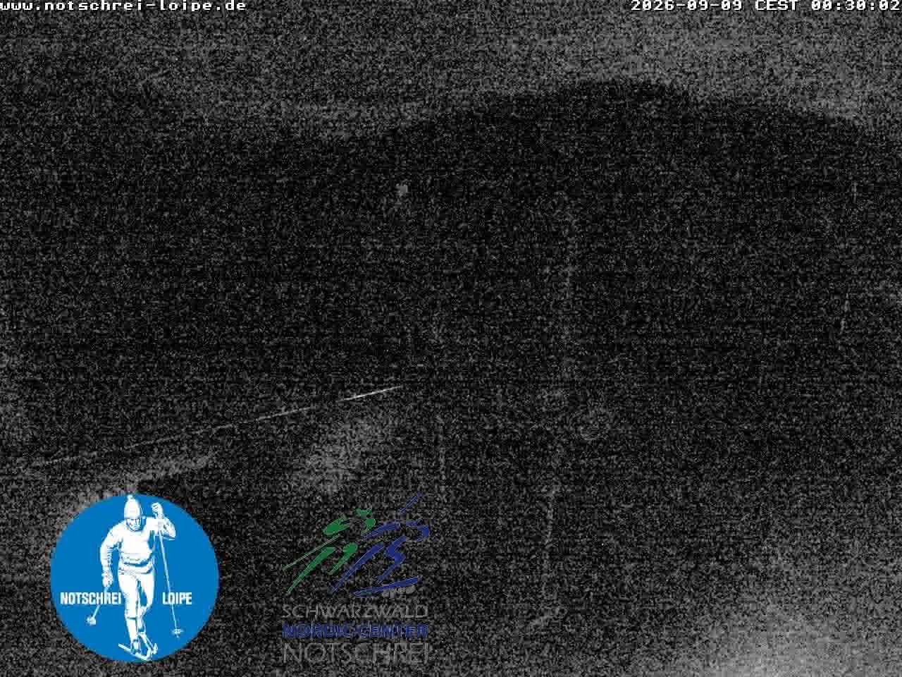 Archived image Webcam Cross Country Skiing Center Notschrei, Black Forest