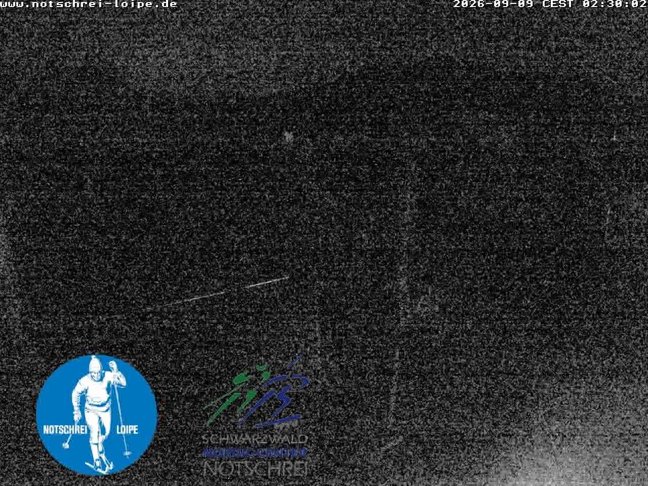 Archived image Webcam Cross Country Skiing Center Notschrei, Black Forest