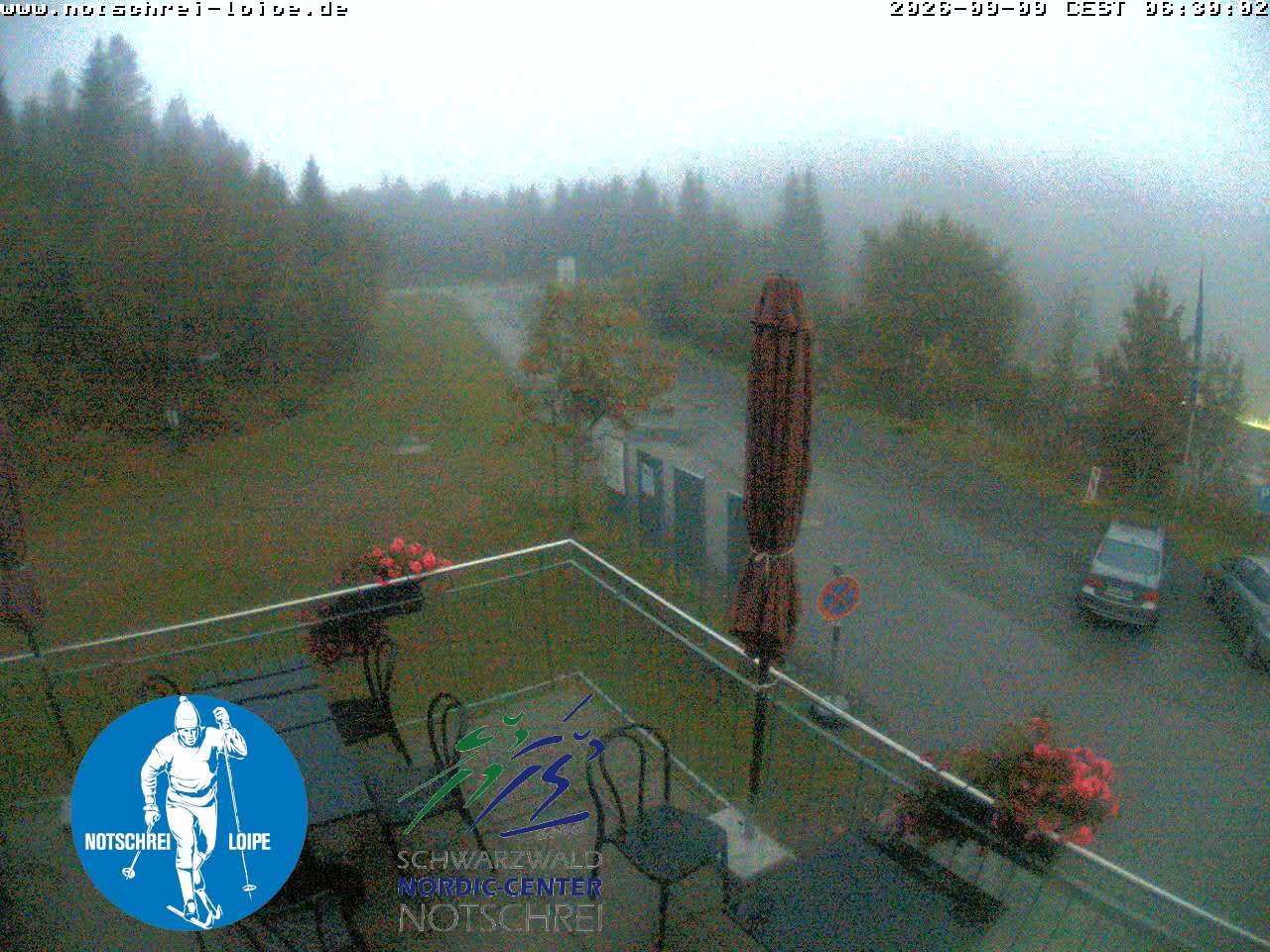 Archived image Webcam Cross Country Skiing Center Notschrei, Black Forest