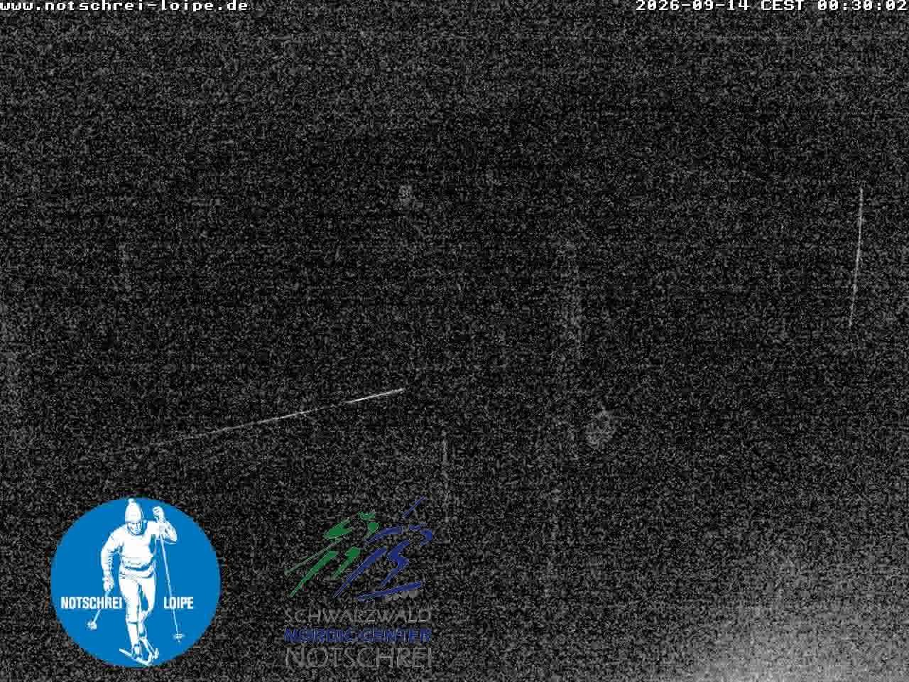 Archiv Foto Webcam Loipenzentrum Notschrei, Schwarzwald